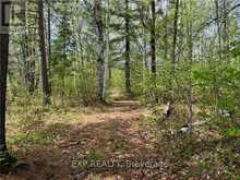 LOT 40 SANDY SHORES TRAIL Madawaska Valley