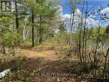 LOT 40 SANDY SHORES TRAIL Madawaska Valley