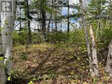 LOT 40 SANDY SHORES TRAIL Madawaska Valley