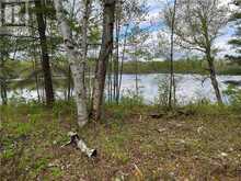 LOT 8 CASSON TRAIL Barrys Bay