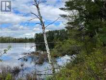 LOT 8 CASSON TRAIL Barrys Bay