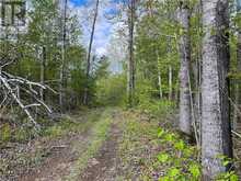 LOT 8 CASSON TRAIL Barrys Bay