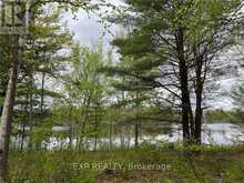 LOT 8 CASSON TRAIL Madawaska Valley