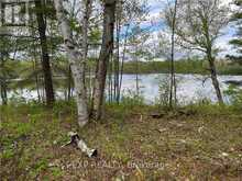 LOT 8 CASSON TRAIL Madawaska Valley