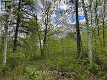 LOT 8 CASSON TRAIL Madawaska Valley