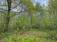 LOT 8 CASSON TRAIL Madawaska Valley