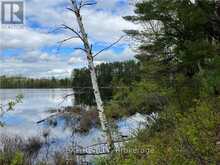 LOT 8 CASSON TRAIL Madawaska Valley