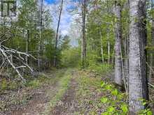 LOT 8 CASSON TRAIL Madawaska Valley