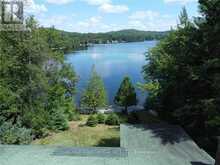 107 BLACKFISH BAY ROAD Madawaska Valley