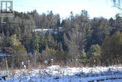 00 CALABOGIE ROAD Madawaska