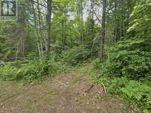 LOT B OTTER LAKE RAILBED LANE Madawaska Valley