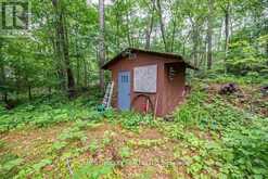 91 BILSBORROW TRAIL Petawawa