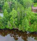 91 BILSBORROW TRAIL Petawawa