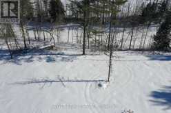 000 MUD LAKE ROAD Laurentian Valley