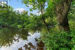 107 PURPLE FINCH TRAIL Whitewater Region