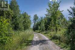 LOT 250 MCGUIRE BEACH ROAD Kawartha Lakes