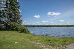 LOT 250 MCGUIRE BEACH ROAD Kawartha Lakes