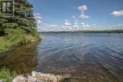 LOT 250 MCGUIRE BEACH ROAD Kawartha Lakes