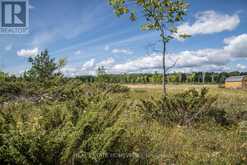 LOT 250 MCGUIRE BEACH ROAD Kawartha Lakes