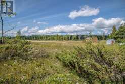 LOT 250 MCGUIRE BEACH ROAD Kawartha Lakes