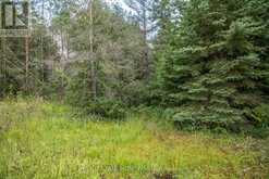 LOT 250 MCGUIRE BEACH ROAD Kawartha Lakes