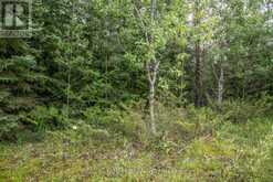 LOT 250 MCGUIRE BEACH ROAD Kawartha Lakes