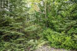 LOT 250 MCGUIRE BEACH ROAD Kawartha Lakes