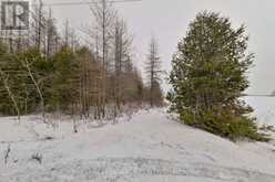 LOT 31 9 COUNTY ROAD Melancthon