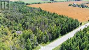 LOT 31 9 COUNTY ROAD Melancthon