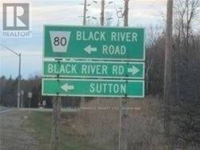 0 BLACK RIVER ROAD Georgina Ontario