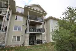 203 - 1 BRANDY LANE DRIVE Collingwood