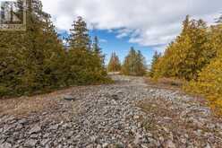 LT 30 BORDEN DRIVE Northern Bruce Peninsula