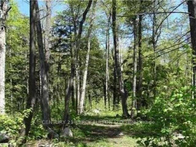 LOT E21 ESCARPMENT NIPPISSING RIDGE ROAD Tiny Ontario