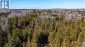 4693 HIGHWAY 6 Northern Bruce Peninsula