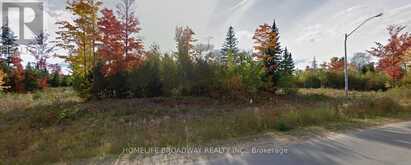 LOT 19 NICKLAUS DRIVE Bancroft