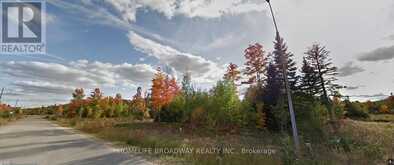 LOT 19 NICKLAUS DRIVE Bancroft