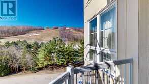 415 - 220 GORD CANNING DRIVE The Blue Mountains