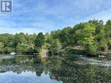 3950 SEVERN RIVER SHORE Gravenhurst