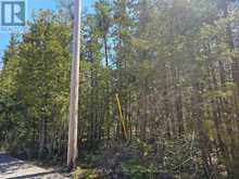 LOT 2 SPRY ROAD Northern Bruce Peninsula