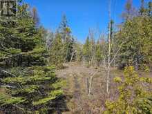 LOT 2 SPRY ROAD Northern Bruce Peninsula