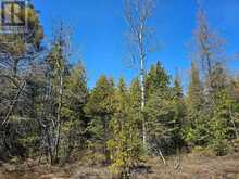 LOT 2 SPRY ROAD Northern Bruce Peninsula