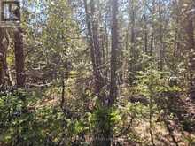 LOT 2 SPRY ROAD Northern Bruce Peninsula