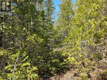 LOT 2 SPRY ROAD Northern Bruce Peninsula