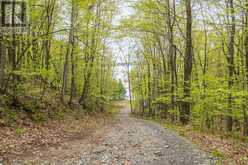 LOT 16 WARRINGTON LANE Central Frontenac