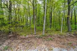 LOT 558 FOREST CIRCLE Tiny