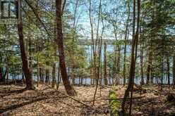 0 MAPLEHURST DRIVE Lake of Bays