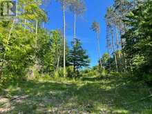 LOT 12 14 CONCESSION ROAD E Tiny