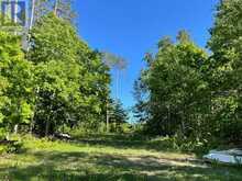 LOT 12 14 CONCESSION ROAD E Tiny