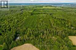 LOT 12 14 CONCESSION ROAD E Tiny