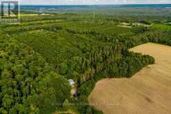 LOT 12 14 CONCESSION ROAD E Tiny